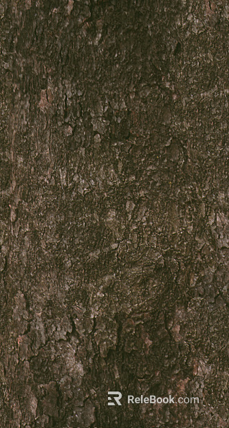 bark texture
