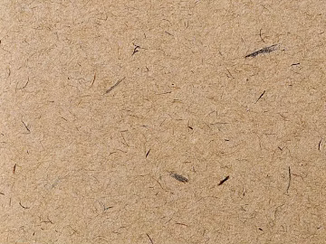 Mud texture (ID:ffaeg87075)