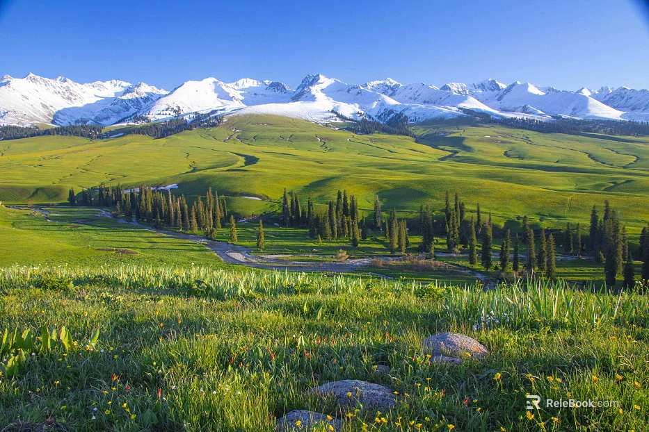 Wild Scenery texture