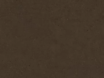 Mud 3d model
