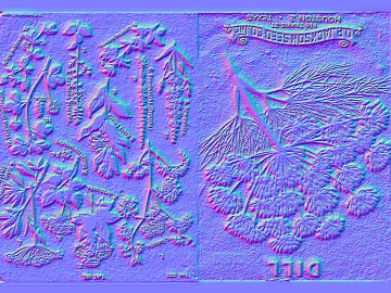 Normal Bump texture (ID:ffaag02880)