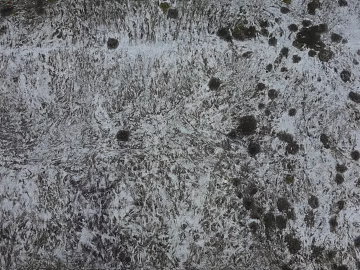 Ground texture (ID:ffaeg97723)