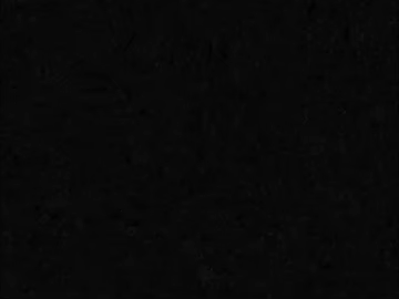 Black Matte Granite Indoor and Outdoor Ground texture (ID:ffaeh929594)