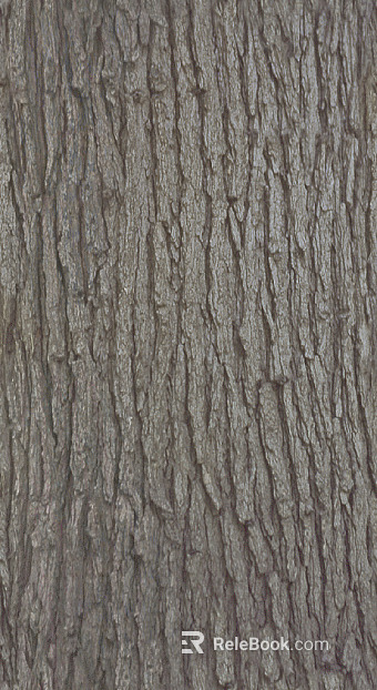 bark texture