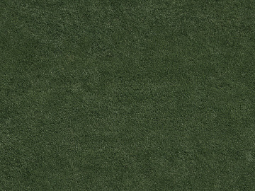 Turf texture (ID:ffagg30828)