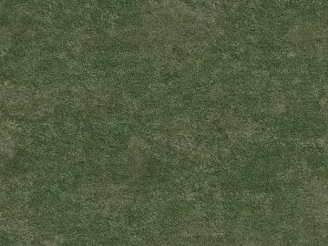 Turf texture (ID:ffacg96506)