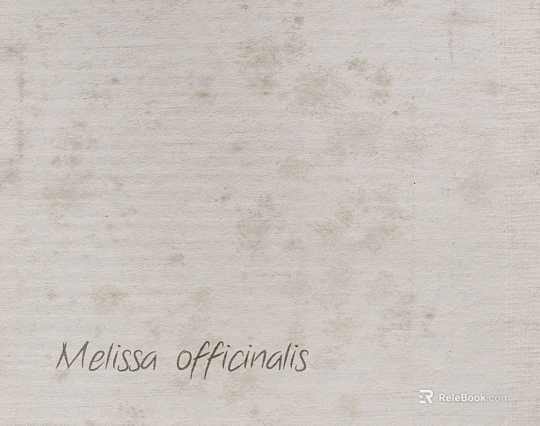 Mud texture
