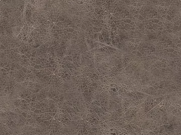 Coarse-grain leather 3d model