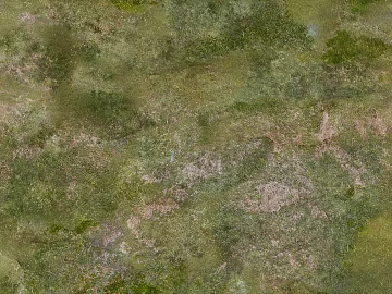 grassland ground mountain forest texture (ID:ffach870493)