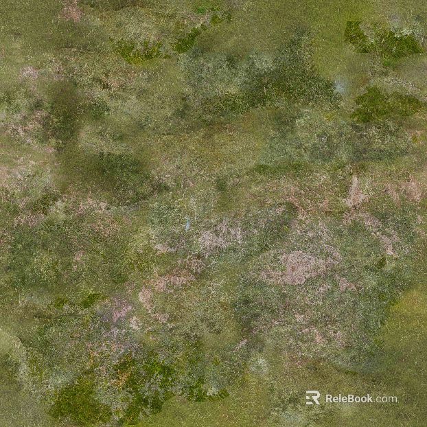 grassland ground mountain forest texture