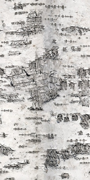 Light Gray Birch Bark Decorative Veneer texture
