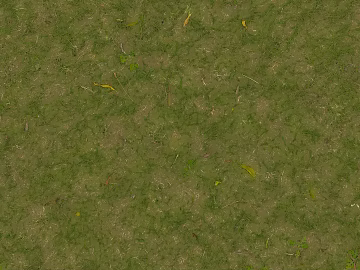 Turf texture (ID:ffach764965)