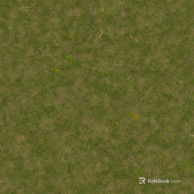 Turf texture