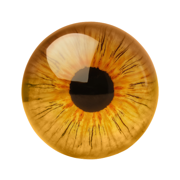 Fantasy yellow pupil animation eyeball texture