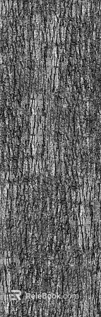 bark texture