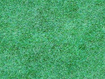 True Grass Grass Slope Green Land Texture texture (ID:ffaeh385682)