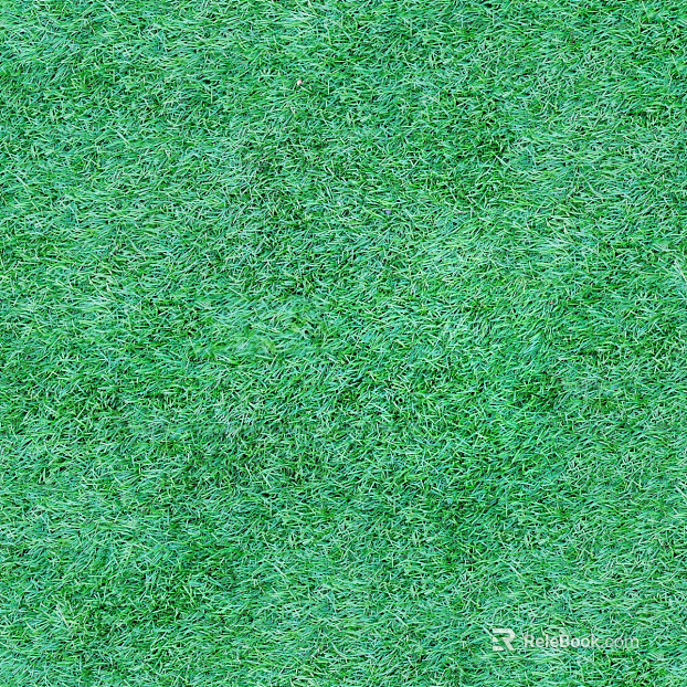 True Grass Grass Slope Green Land Texture texture