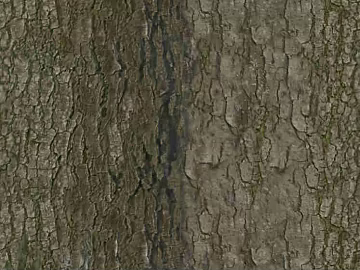 bark texture (ID:ffagg42313)