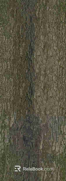 bark texture