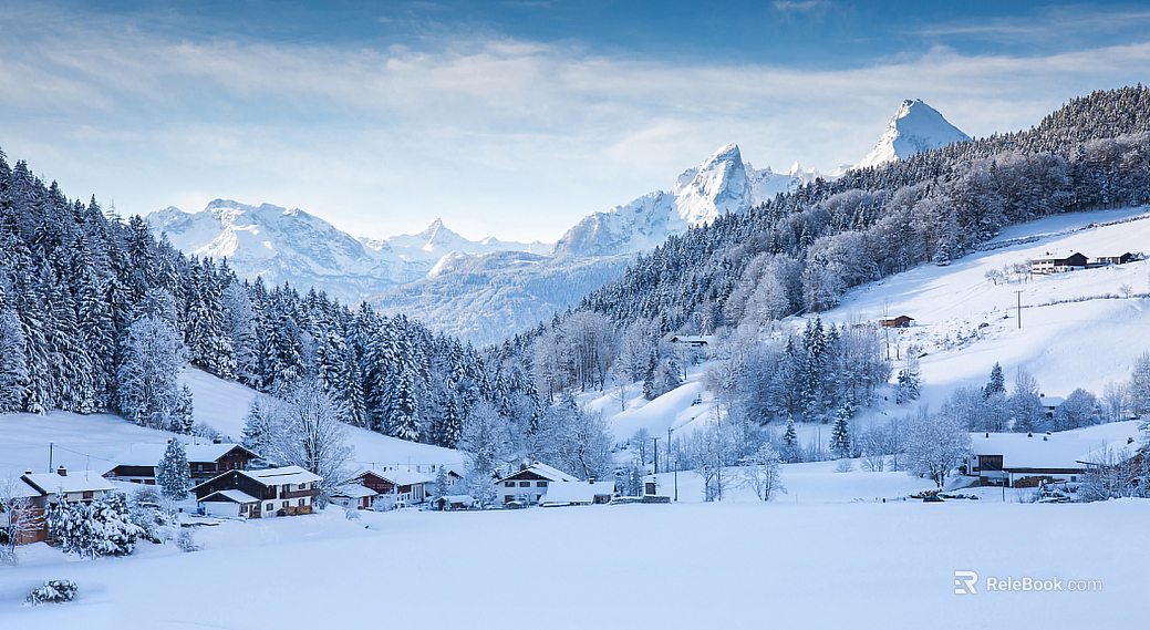 Snow Exterior texture