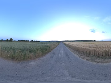 Early Morning Outdoor Grass HDR texture (ID:ffach222233)