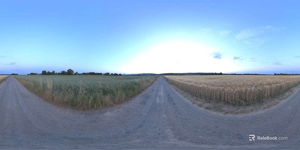Early Morning Outdoor Grass HDR texture
