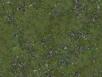 Green moss outdoor ground texture (ID:ffaeh998574)
