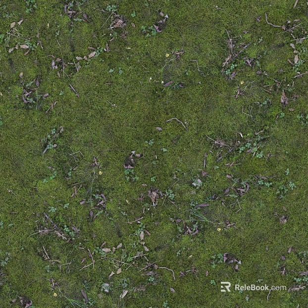 Green moss outdoor ground texture