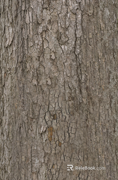 bark texture