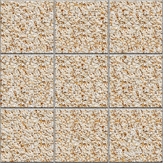 Stone Paving texture