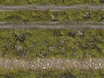 Yellowish green moss outdoor dirt road texture (ID:ffaeh234796)