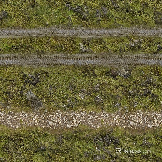 Yellowish green moss outdoor dirt road texture