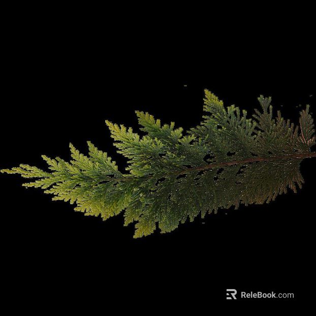 Yellow-green fern branches and leaves decorative material texture