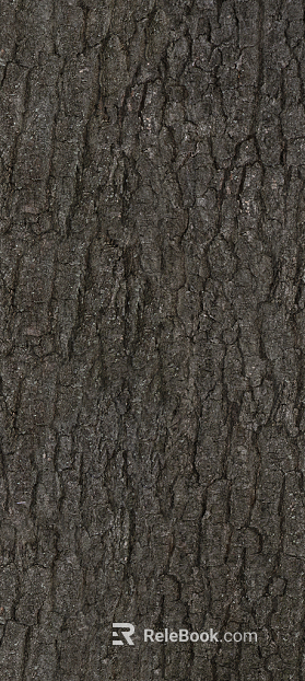 bark texture