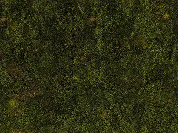 moss texture (ID:ffabg63692)