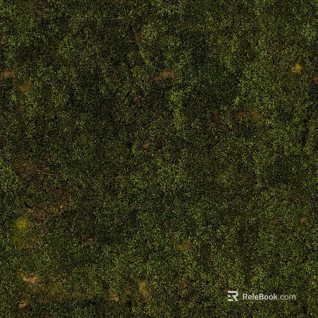moss texture