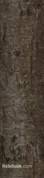 bark texture