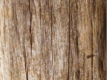 old wood texture (ID:ffagg04360)