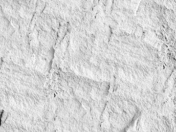 Black and White Bump texture (ID:ffach647390)