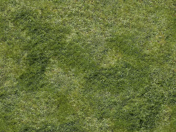 Turf texture (ID:ffaeg50339)