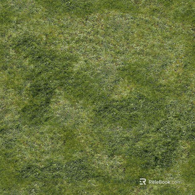 Turf texture