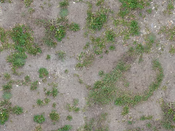 Grassland 3d model