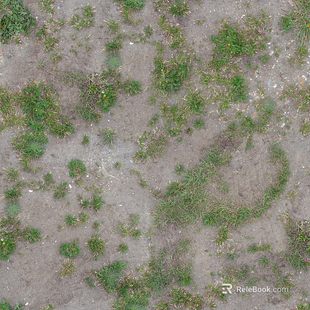 Grassland texture