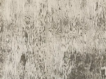 Wood Wood Grain texture (ID:ffach809053)