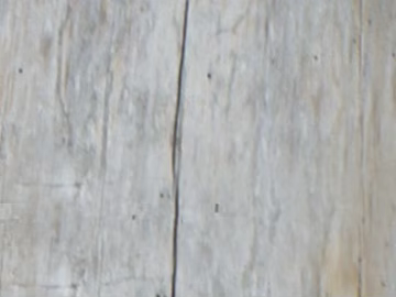 bark texture (ID:ffaif0097)