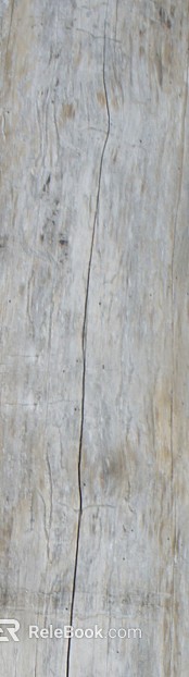 bark texture
