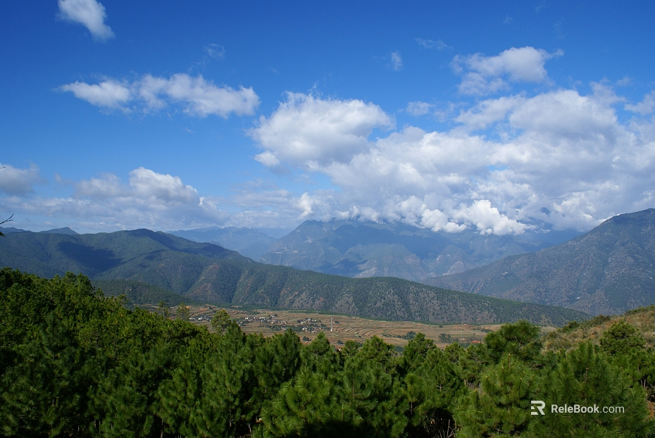 Wild Scenery texture