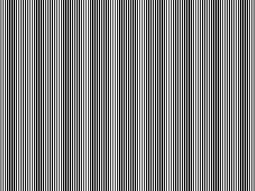 Black and white vertical stripes decorative wallpaper 3d model