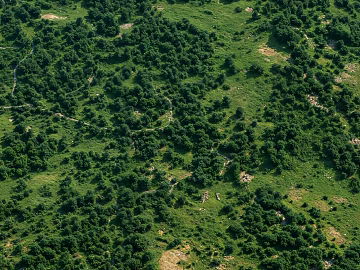 Modern outdoor bird's eye view landscape mountain forest texture (ID:ffach418583)