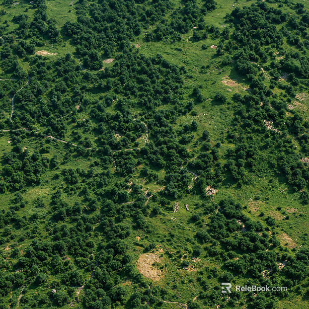 Modern outdoor bird's eye view landscape mountain forest texture